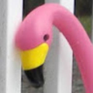 Meet your Posher, Janet